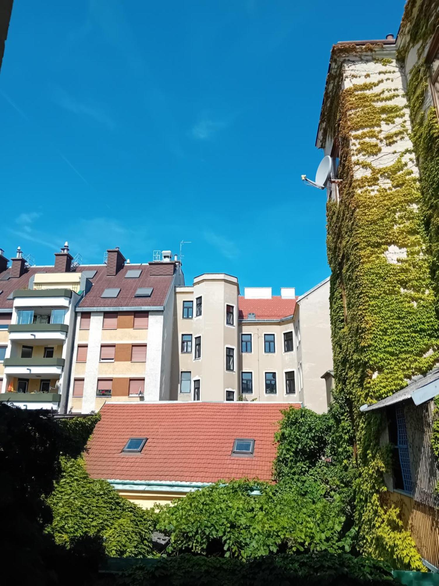 In Séjour chez l'habitant Vienne